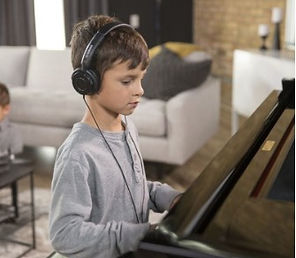 piano soundboard with strings