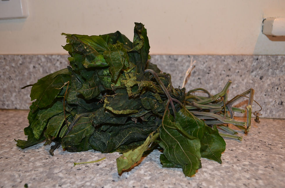 Thumbnail: FRESH UGWU LEAVES