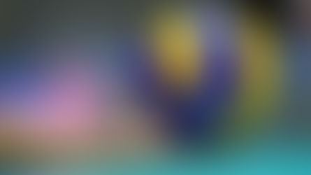 VARATI I CAMPIONATI REGIONALI