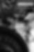 IMG_7437-Enhanced-NR.png
