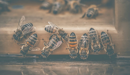 Regardez cette incroyable photo prise au