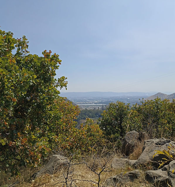 Mirador el Marquez - B