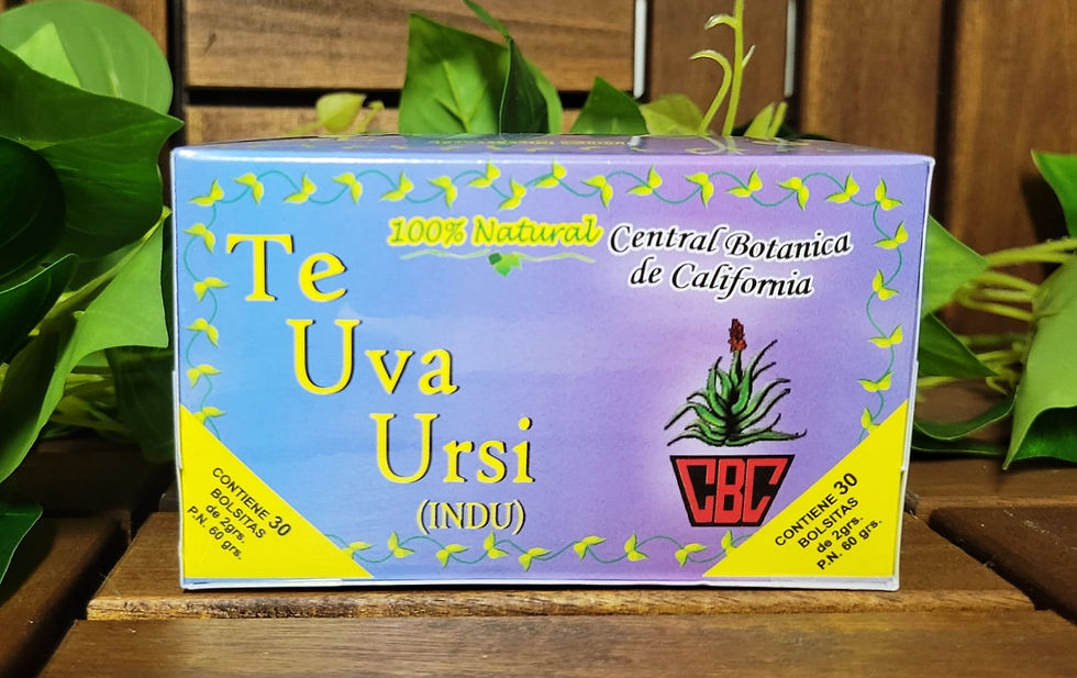 Miniaturbild: Té Uva Ursi 100% natürlich
