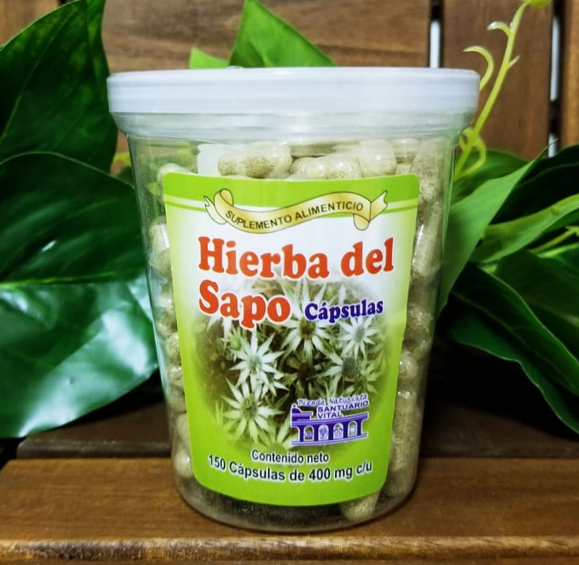 Hierba del Sapo  (Toad Grass)