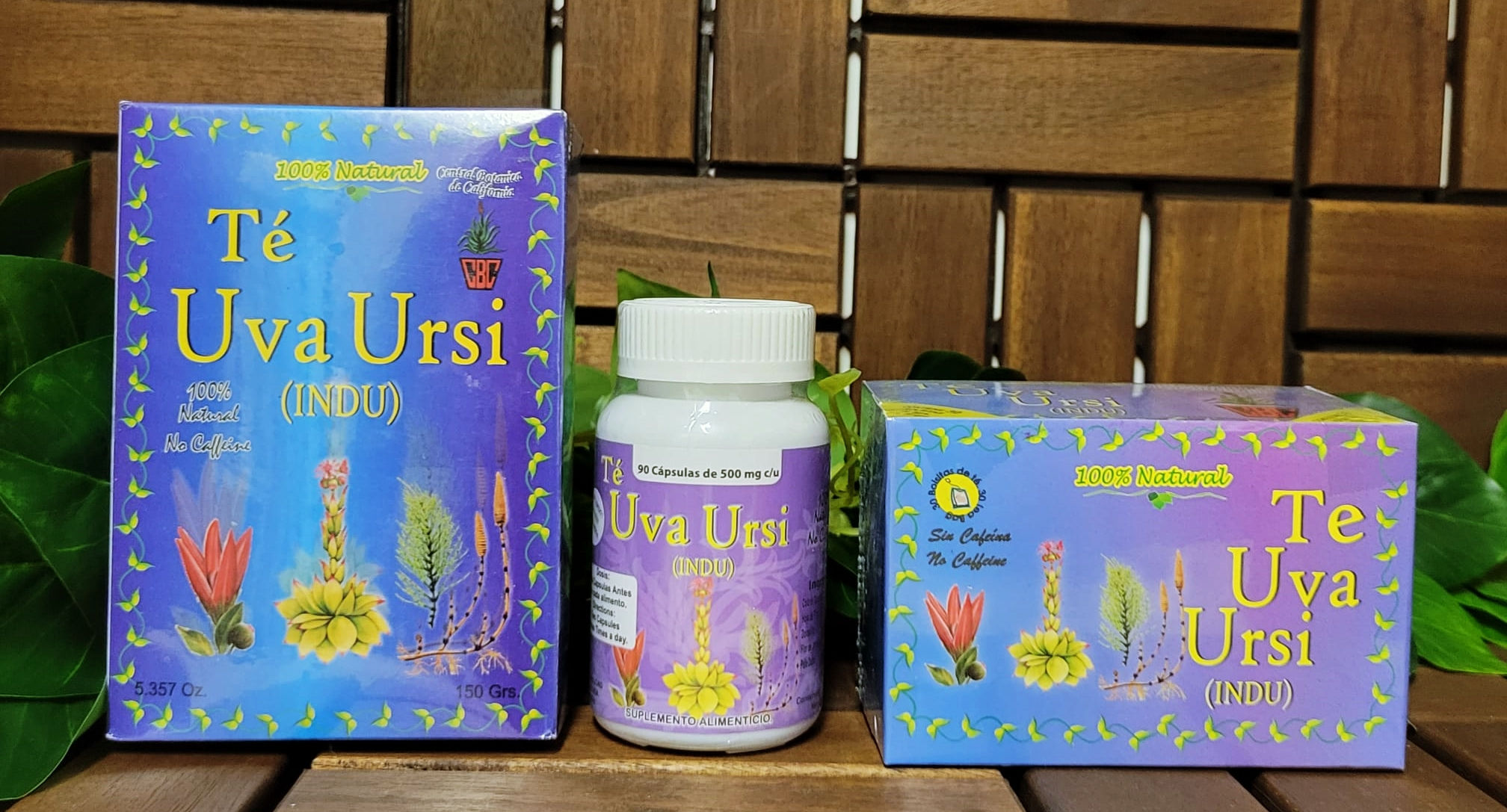 Té Uva Ursi 100% Natural