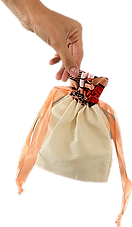 Necessaire 3.png