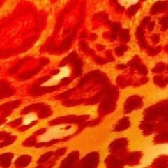 Thumbnail: Triangle bikini top and V front bottoms