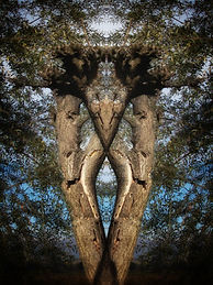 reflexvolto8.jpg