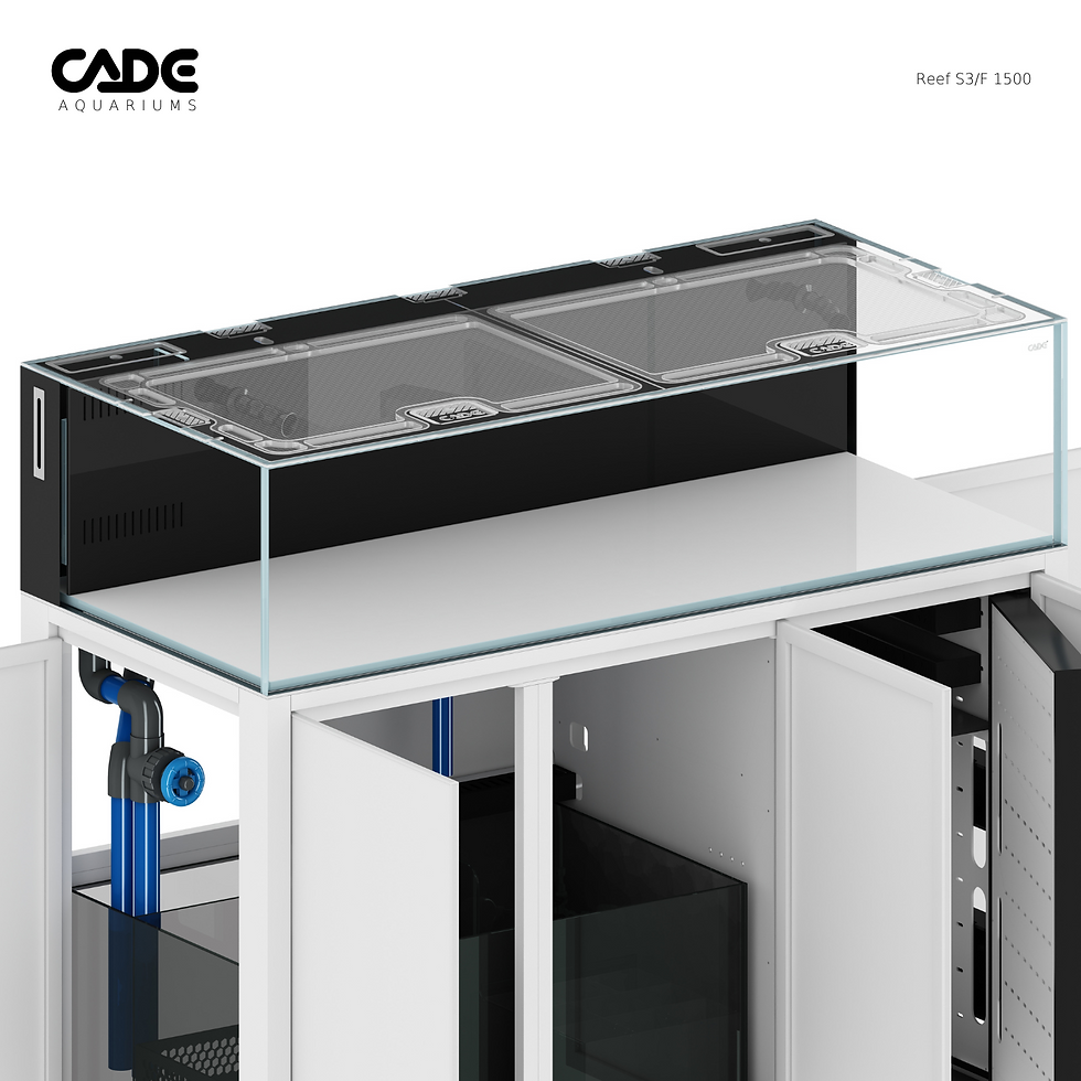 Thumbnail: Reef S3/F 1500 White