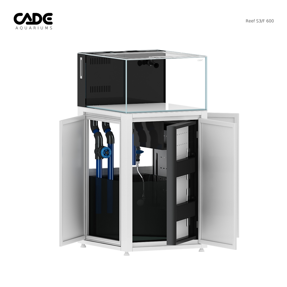 Thumbnail: Reef S3/F 600 White