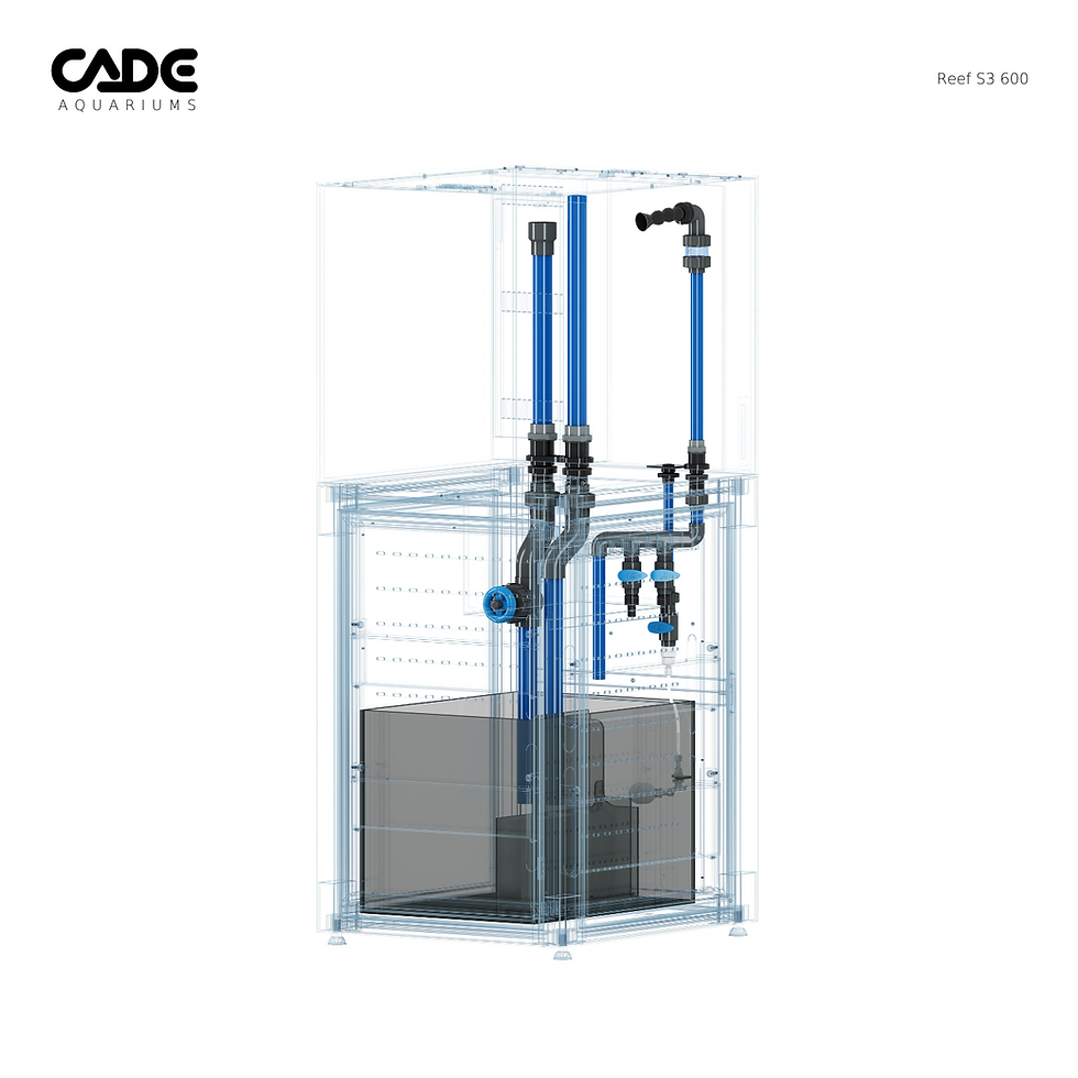 Thumbnail: Reef S3 600 White