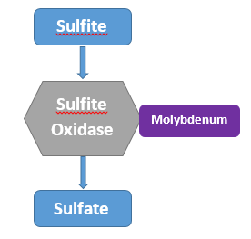 creation of sulphate