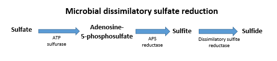 sulphate diagram