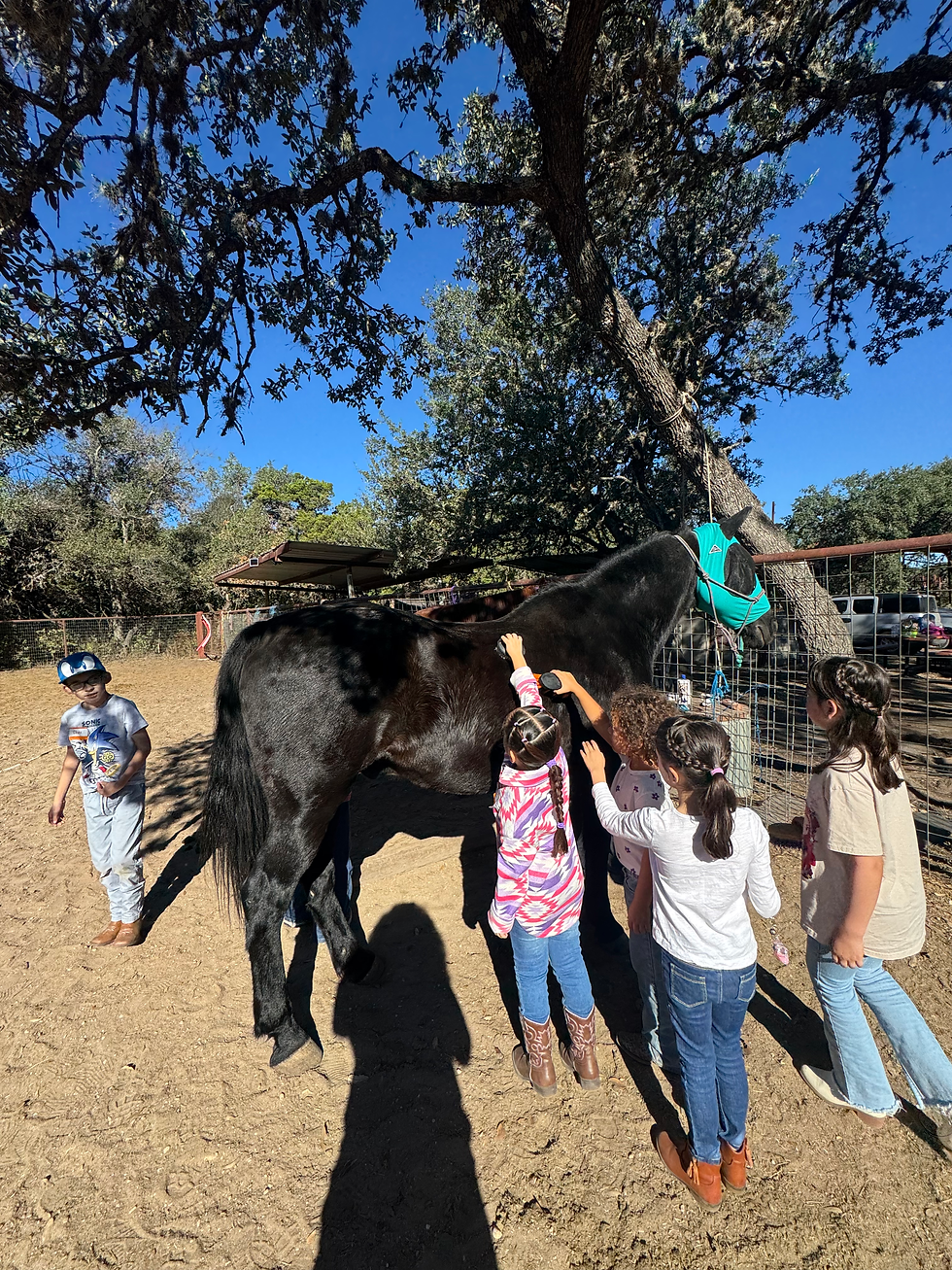 Beginner Youth Group