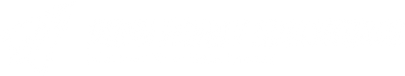 White on transparent .png