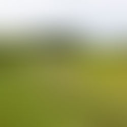 Extending the Countryside Stewardship Scheme: What You Need to Know for Expiring Agreements