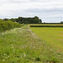 Extending the Countryside Stewardship Scheme: What You Need to Know for Expiring Agreements