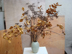 Dried Arrangement