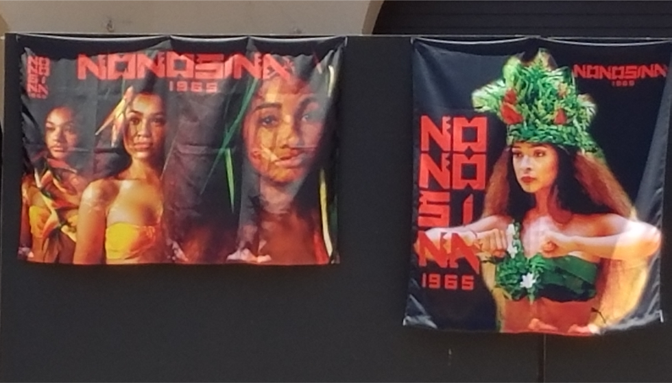 Nonosina Sublimation banner fabric