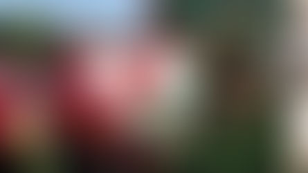 LPFA Week 1 Highlights: Devils Dance, Renegades Reign in Football Duels