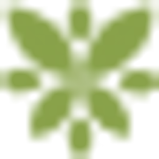Obscura