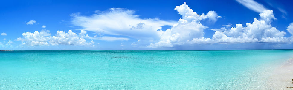 AdobeStock_230650850.jpeg
