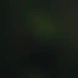 Forbes: When Paul Tazewell was enlisted to be the costume designer for Wicked, he knew it would be the opportunity of a lifetime. “The fantasy aspect and how our director, Jon Chu, wanted to tell the 