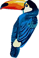 Tucan_edited.png