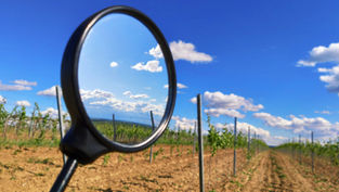 Kanton Solothurn untersucht PFAS-Belastung in landwirtschaftlichen Böden
