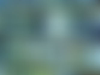 Windows-Support-Ende: Was Nutzer jetzt wissen und beachten müssen