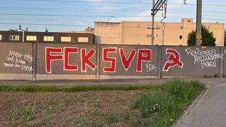 Polizei verhaftet "Fck SVP" Sprayer beim Bahnhof Dottikon