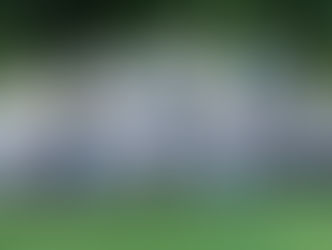 Wahlkampf 2023: Start der nationalen Dachkampagne der FDP