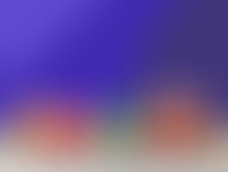 Lidl Schweiz bringt vegane Produktlinie von Starkoch Fabian Zbinden in die Filialen