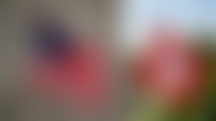 Anti-Trump Stimmung in Europa wird für politische Rechte zum Problem