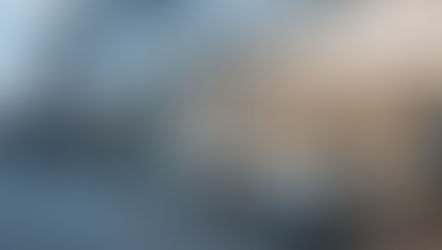 Anti-USA-Reflex breitet sich aus und kann in Zahlen gemessen werden