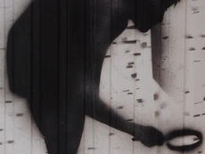 8'335 Verbrechen und Vergehen im Jahr 2022 im Kanton Solothurn