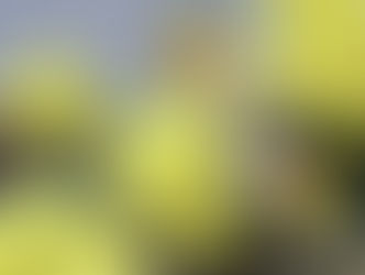 Atomkraftgegner bleiben stabil in Regierung und Kantonsrat