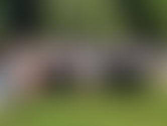 Ehrung der Zofinger Sportlerinnen und Sportler 2021/22