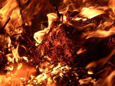 "Zünd noch einmal den Weihnachtsbaum an, Schatz." Jetzt aufpassen.