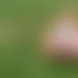 Muri: Nach Kollision mit elfjährigem Velofahrer davon gefahren