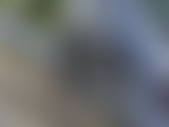 Aarau: Über ein Dutzend Autos beschädigt - Zeugen bitte melden