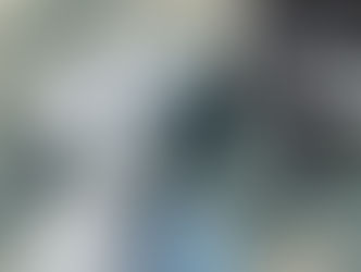 Solothurnisches Hundegesetz wird revidiert