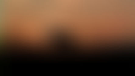 Schattenhalb (BE): Dieser Wolf wird nie wieder junge Esel angreifen