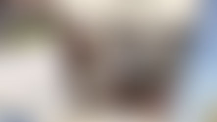 Oltner Stadtrat stellt Weichen mit Regierungsprogramm und Massnahmenpaket