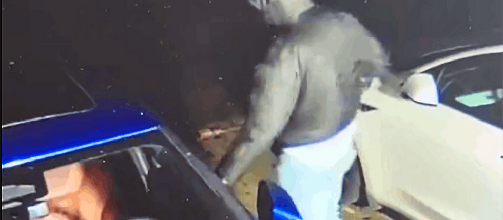 Nordafrikaner auf Diebestour beeinflussen 10-Millionen Volksabstimmung