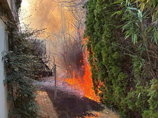 Seengen: Brand in Garten löst Grossaufgebot der Feuerwehr aus