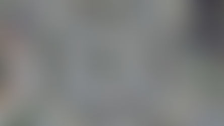 Tödlicher Unfall in Sursee: Frau auf Fussgängerstreifen von Lastwagen überrollt