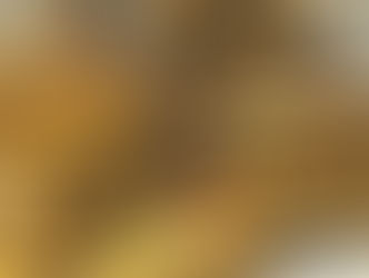 Gold und Silber übertreffen Aktien auf lange Sicht