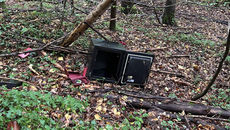 Rheinfelden: Wem gehört der Tresor aus dem Wald?
