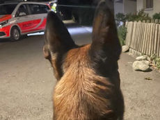 Turgi: Zwei Männer durchsuchten geparkte Autos und wurden festgenommen